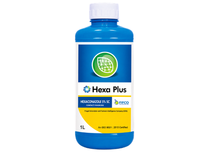 image (17)